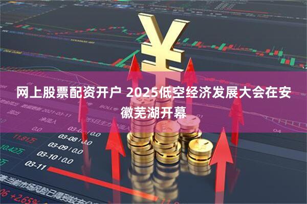 网上股票配资开户 2025低空经济发展大会在安徽芜湖开幕