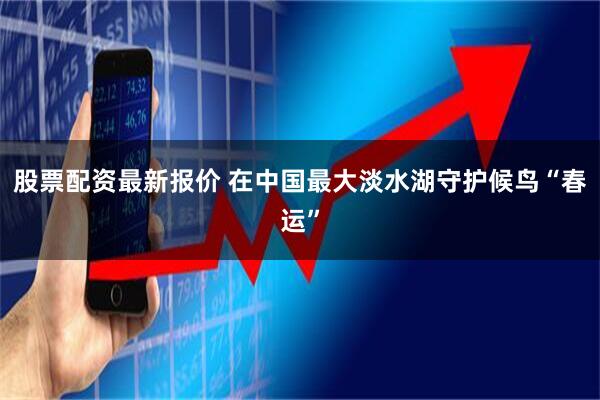 股票配资最新报价 在中国最大淡水湖守护候鸟“春运”