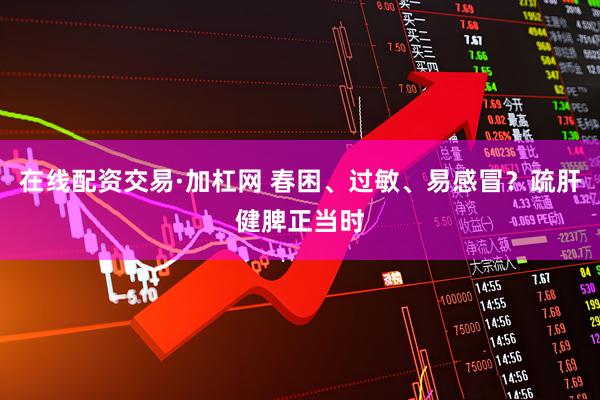 在线配资交易·加杠网 春困、过敏、易感冒？疏肝健脾正当时